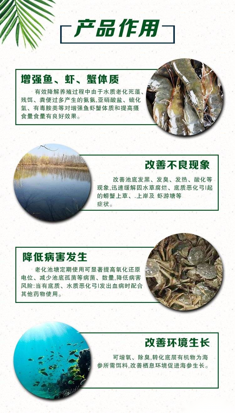 二氧化氯 二氧化氯
